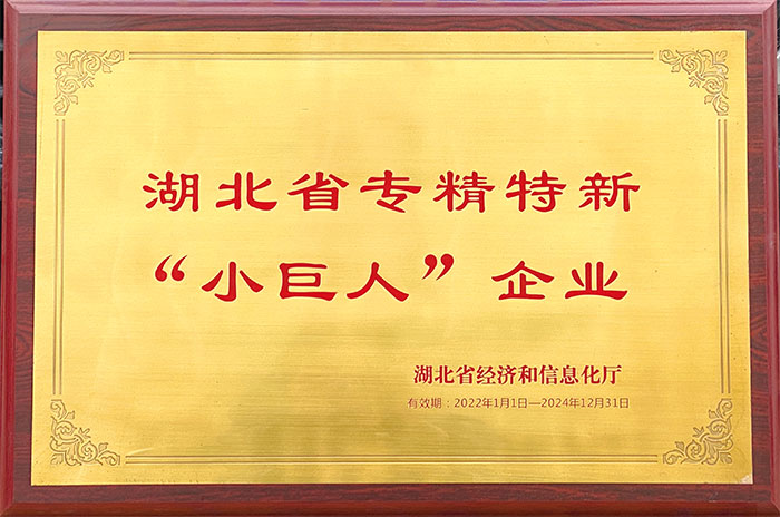 湖北省專(zhuān)精特新小巨人企業(yè)