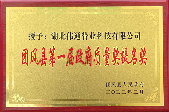 團(tuán)風(fēng)縣第一屆政府質(zhì)量獎(jiǎng)